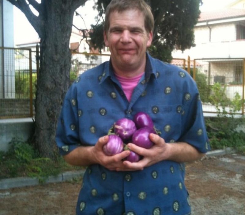 Carlo raccoglie le melanzane nel nostro orto